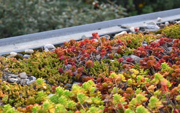 the cost of Seven Kings green roof installation
