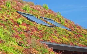 Seven Kings living roof systems