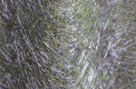 Seven Kings fibreglass roof work